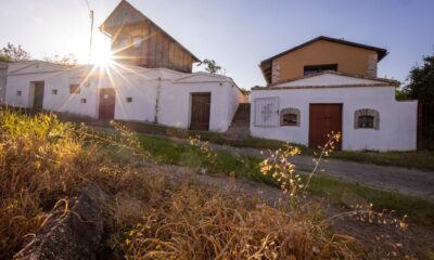 IMG_5854_RES