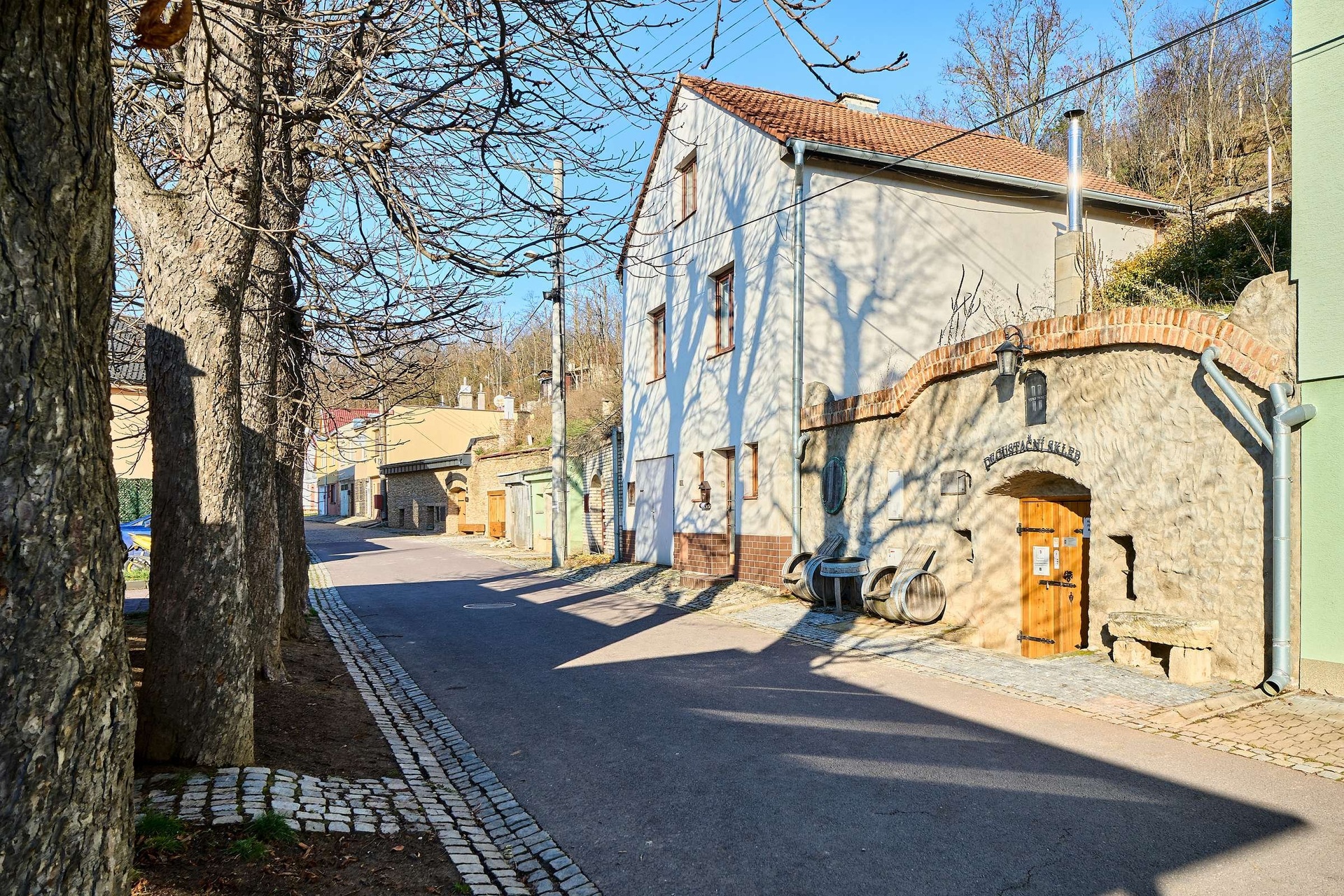 prodej-domu-s-bytem-2-1-a-vinnym-sklepem-dobsice-rd-dobsice-1-e5c9db