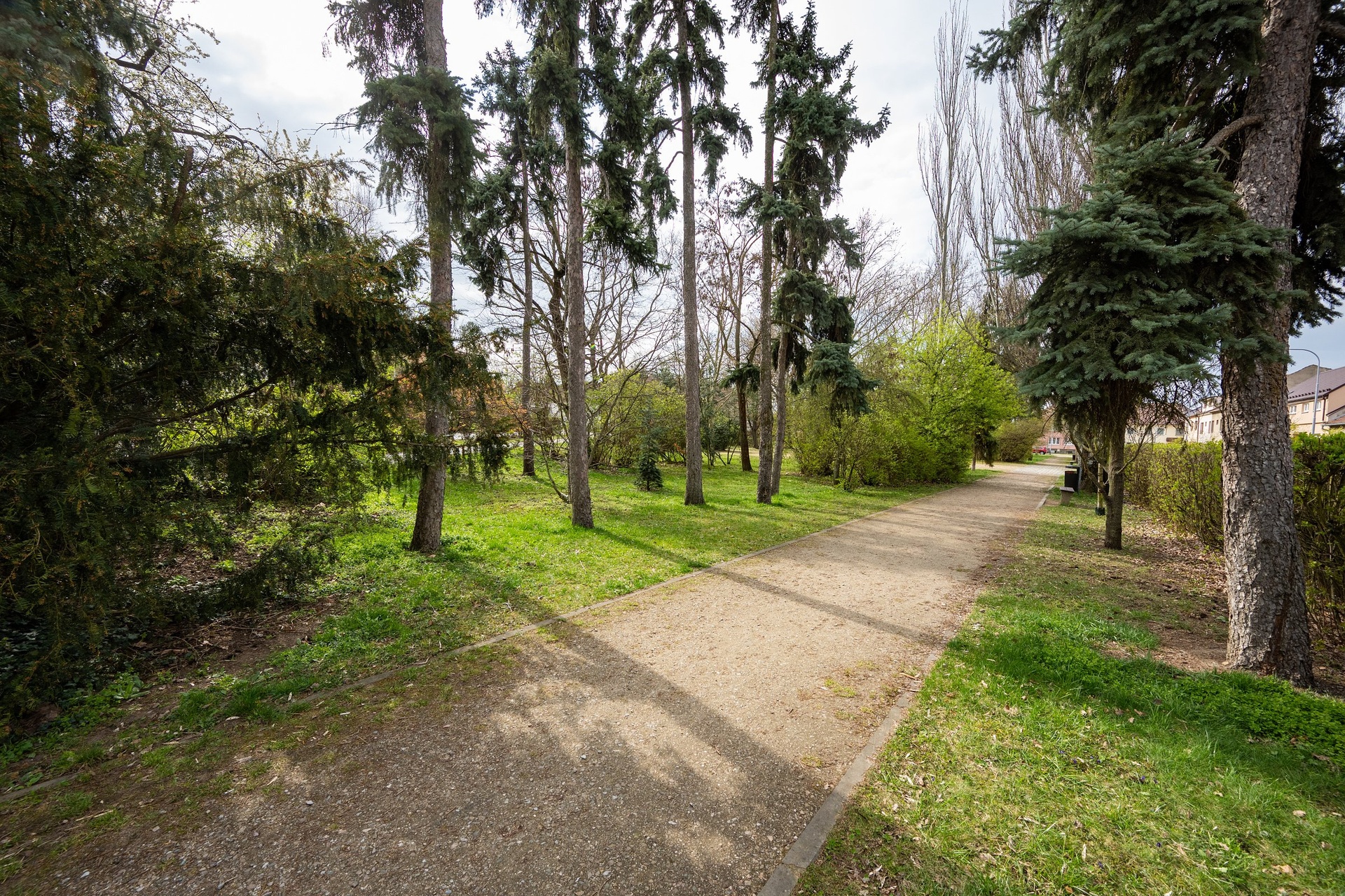 pronajem-bytu-3-1-73-m2-z71-5019-ed7235