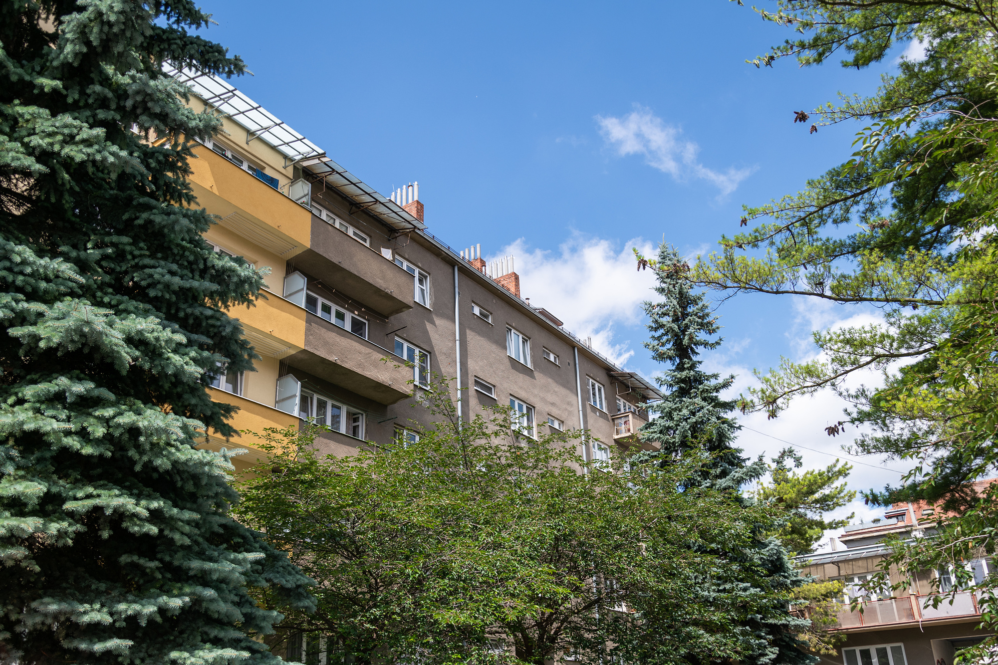 Skacelova-17