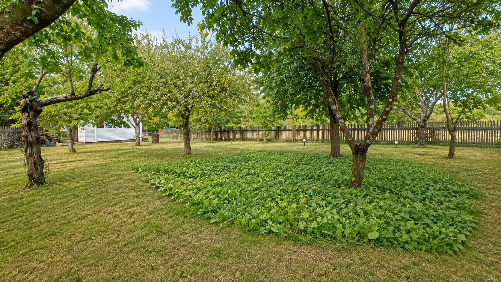 ZERNOVNIK-8a